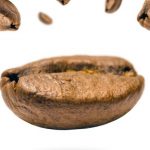 Coffee Beans - Closeup Photo of Coffee Bean
