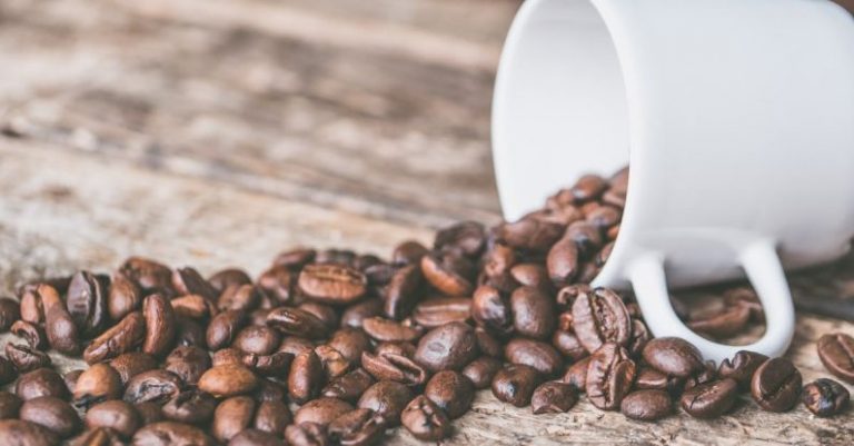 Coffee Beans - Coffee Beans and White Mug