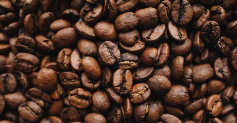 Coffee Beans - Brown Coffee Beans in Close Up Photography