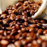 Coffee Beans - Shallow Focus of Coffee Beans on White Ceramic Cup