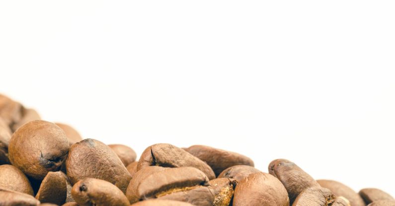 Coffee Beans - Brown Coffee Beans